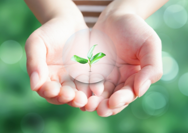 リサイクルのイメージ 手のひらと木の芽